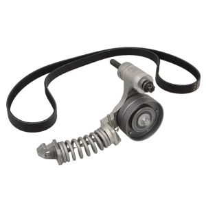 Cinto com várias nervuras (6PK1019)  GATES K015PK1355