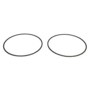 Circlip ZF 0730513903ZF