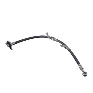 Bremsschlauch BLUE PRINT ADG053136