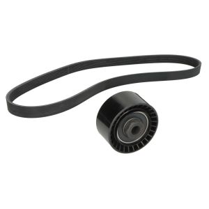 Cinto com várias nervuras (6PK1019)  CONTINENTAL 7PK1035K1