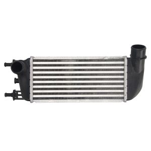 Intercooler THERMOTEC DAF010TT