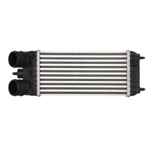 Intercooler NRF 30543