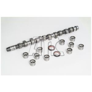 Conjunto da árvore de cames AMC 653851K