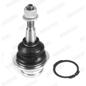 Articulation de support/de guidage MOOG VO-BJ-18543