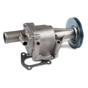 Pompe à eau HEPU P088