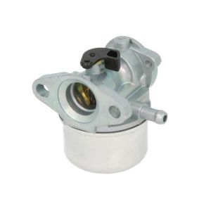 Carburateur INPARTS IP000555