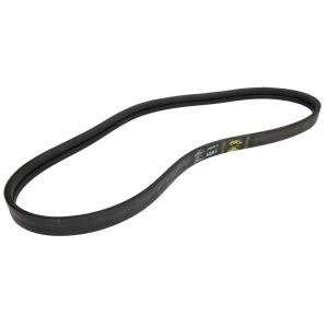 Correa poly V GATES 0368247-GAT