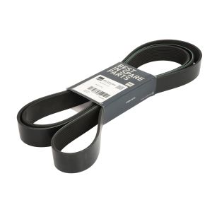 Cinghia a V PETERS 080.025-00
