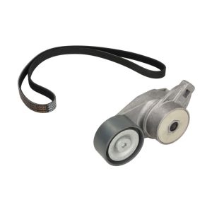 Cinto com várias nervuras (6PK1019)  DAYCO KPV178HD
