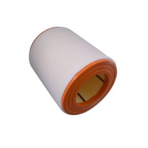 Filtro de ar BLUE PRINT ADV182250
