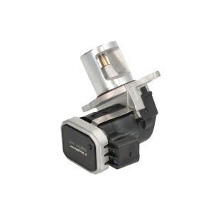 EGR-ventil BORG WARNER 7527D/1