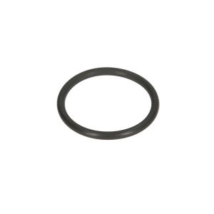 O-Ring, Getriebe C.E.I 239220