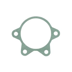 Elemento da transmissão ZF 6091301013ZF