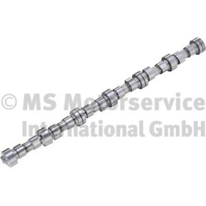Nockenwelle BF 20100208362