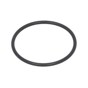 Elemento, transmissão automática ZF 0501322981ZF