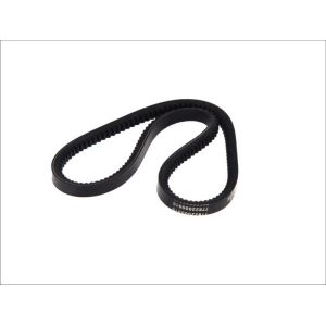 V-riem DT 3.34503