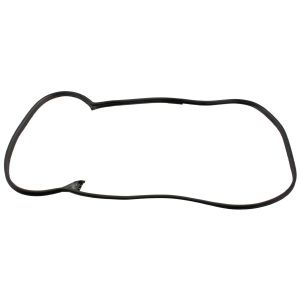 Türdichtung FEBI BILSTEIN 08875