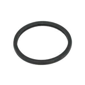 Tiiviste, termostaatti FP DIESEL R521548-FP