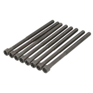 Kit de parafusos, cabeça do cilindro REINZ 14-12261-01