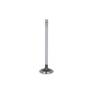 Imuventtiili  FP DIESEL R536135-FP