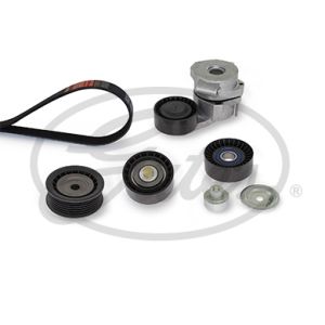 Cinto com várias nervuras (6PK1019)  GATES K086PK1685