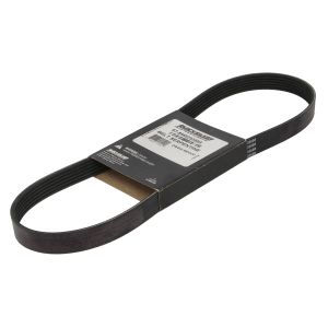 Cinghia Poly-V QUICKSILVER 8M0232583