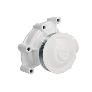Pompa del refrigerante QUICKSILVER 898101424