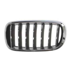 Grille de radiateur BLIC 6502-07-00969933P Gauche