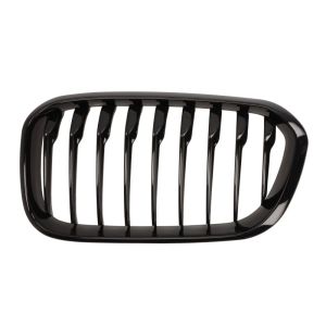 Grille de radiateur BLIC 6502-07-0086997P