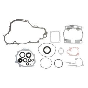 Set di guarnizioni, motore WINDEROSA W811662