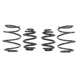 Molas EIBACH Pro Kit E2066-140