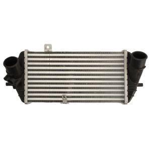 Intercooler THERMOTEC DA05007TT