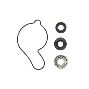 Kit de reparação, bomba de água HOT RODS WPK0027