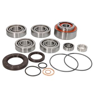 Kit di riparazione per il riduttore angolare del ventilatore BPART 0009807415BP