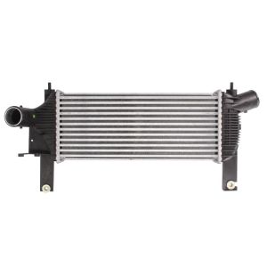 Intercooler THERMOTEC DA1001TT