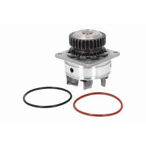 Pompe à eau ACKOJA A38-50016