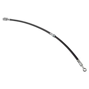 Flexible de frein BLUE PRINT ADG053247