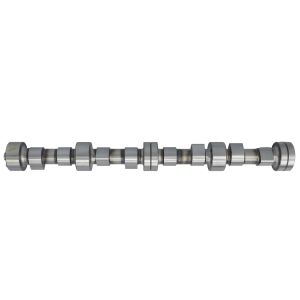Nockenwelle BF 20100208340