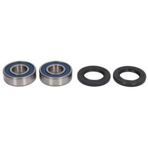 Radlagersatz ALL BALLS AB25-1659