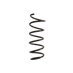 Chassisveer MAGNUM TECHNOLOGY SR166
