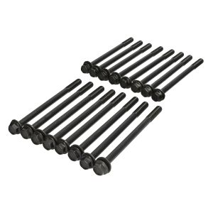 Kit de parafusos, cabeça do cilindro REINZ 14-10491-01