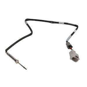 Sensore, temperatura gas di scarico DENSO DET-0116