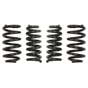 Ophangset, veren Pro-Kit EIBACH E10-25-036-08-22