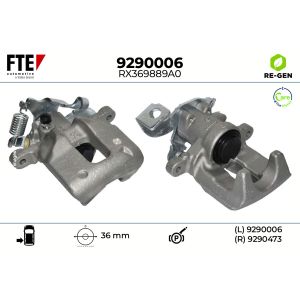 Jarrusatula FTE 9290006