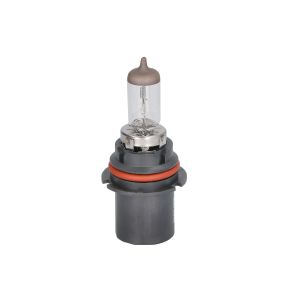 Lâmpada incandescente PHILIPS Vision HB5 12V, 65/55W, 1 Peça
