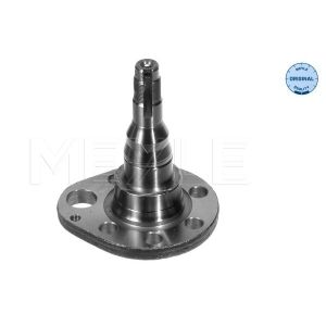Hinterachse rechts febi bilstein 18348 Achszapfen