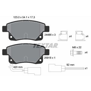 Set di pastiglie freno TEXTAR 2448601, indietro