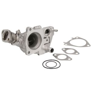 AGR Ventil BORG WARNER 7631D
