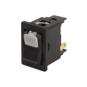 Interruptor DT Spare Parts 1.21031