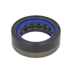 Hinterachsdichtung ZF 0734300610ZF